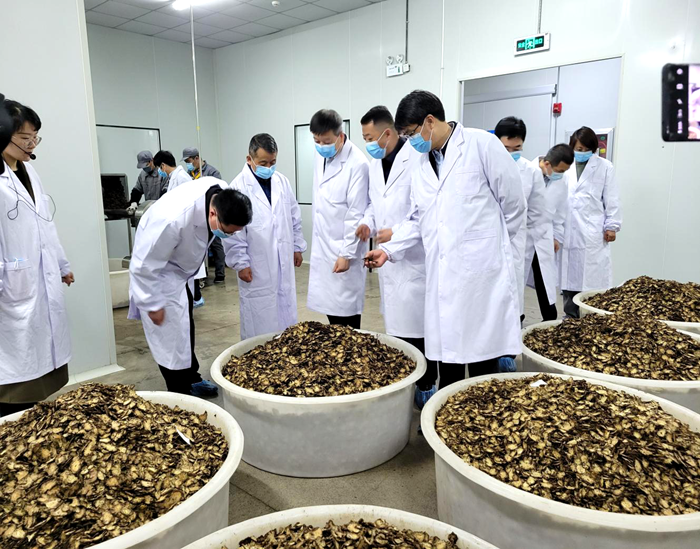 1617006736926573.png 圖片4.png